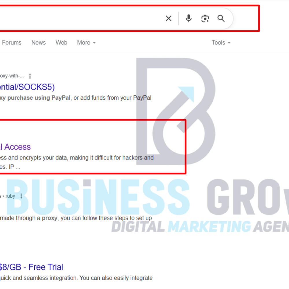 Proxy-for-PayPal-Google-Search-07-11-2025_04_47_PM